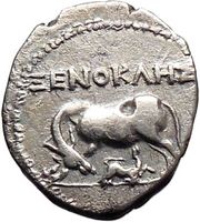 Cow and Baby Calf on Authentic Ancient Silver Greek Coins of Apollonia or Dyrrhachium